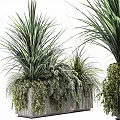 Bonsai Potted Plants With Lush Green Foliage And Varied Leaf Shapes In Decorative Planters