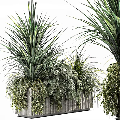 Bonsai Potted Plants With Lush Green Foliage And Varied Leaf Shapes In Decorative Planters 3d model