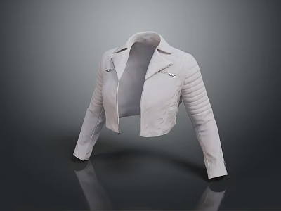 Light Gray Cropped Motorcycle Jacket With Lapel Collar And Striped Sleeves 3d model