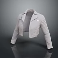 Light Gray Cropped Motorcycle Jacket With Lapel Collar And Striped Sleeves 3d model