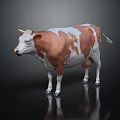 Brown And White Cow Standing On Black Background With Reflection 3d model