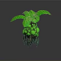 Exotic Green Plant With Large Leaves Yellow Round Fruits And Brown Roots