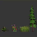 Various Plants With Tall Pine Trees Low Plants Red White Flowers Mushrooms And Green Leaves