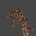 Highly Detailed Triceratops Skeleton 3D Model With Realistic Bone Structure