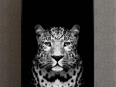 Modern Animal Painting Simple Black and White Study Animal Leopard Decorative Painting model