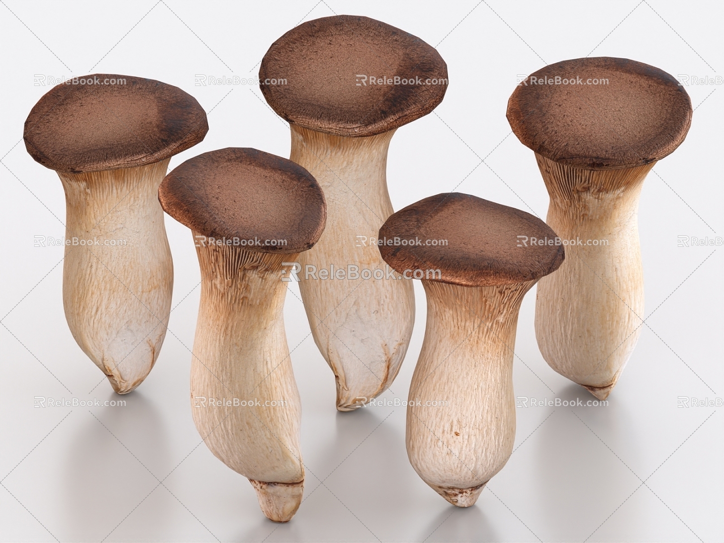 Pleurotus eryngii mushroom vegetables 3d model