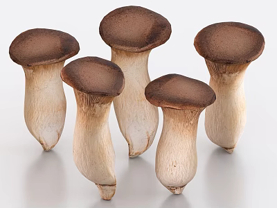 Five Fresh King Oyster Mushrooms With Brown Caps And White Stems On Light Colored Background 3d model
