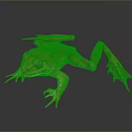 Frog Frog Frog Poison Frog Game Frog Reptile Cold Blooded Animal Reptile Reptile 3d model
