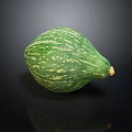 Single Fresh Green Striped Round Vegetable with Shiny Surface on Black Background