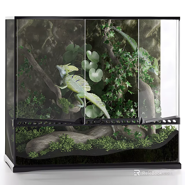 Natural Aquarium Setup With Plants Branches And Reptile 3d model