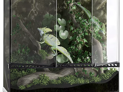 Natural Aquarium Setup With Plants Branches And Reptile 3d model