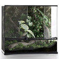 Aquarium 3D Model Fish Tank Aquarium Eco Box Landscape Lizard Animal Plant 3d model