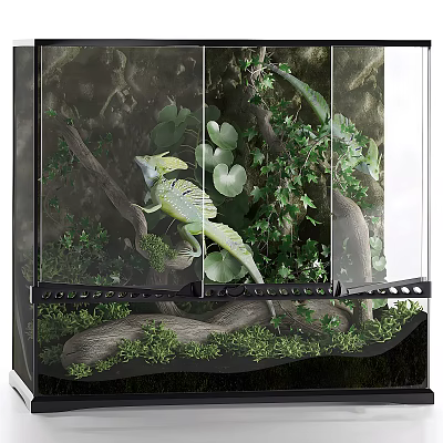 Natural Aquarium Setup With Plants Branches And Reptile 3d model