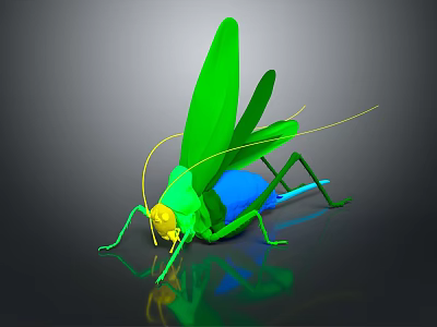 Green grasshopper with yellow head blue abdomen long antennae green wings on black background reflection 3d model