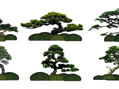 Various Pruned Arbor Trees With Unique Shapes And Garden Landscaping 3d model