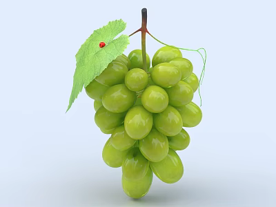 Bunch Of Fresh Green Grapes With Leaf And Red Berry 3d model