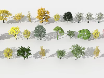 Various Arbor Trees With Different Colored Leaves And Shapes Arranged On White Background 3d model