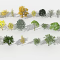 Various Arbor Trees With Different Colored Leaves And Shapes Arranged On White Background