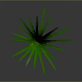 Green Grass With Slender Leaves Upright Growing On Gray Background With Reflection