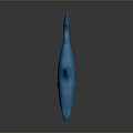 Realistic Blue Shark Model Displayed On Dark Background With Clear Reflection 3d model
