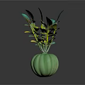 Indoor Decorative Plant with Green and Yellow Leaves in Green Pumpkin Shaped Vase