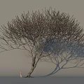Leafless Tree With Wooden Trunk Small Figure Under Gray Background And Tree Shadow 3d model