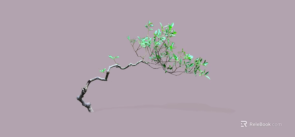 Elegant Arbor Featuring Curved Branches and Fresh Green Leaves on Neutral Backdrop 3d model 
