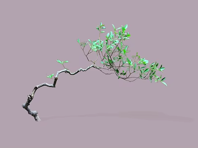 Elegant Arbor Featuring Curved Branches and Fresh Green Leaves on Neutral Backdrop 3d model