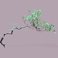 Elegant Arbor Featuring Curved Branches and Fresh Green Leaves on Neutral Backdrop