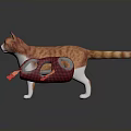 Orange and white cat dragging red plaid toy with red gloves on dark surface