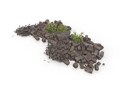 Modern Garden Decor With Scattered Dark Stones And Small Green Plants 3d model