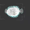 Yellow Pufferfish With Spines And Inflated Body In Dark Background