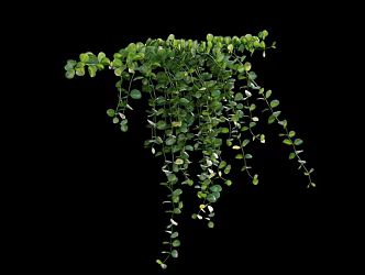 Modern Vine Man Wall Creeper 3d model