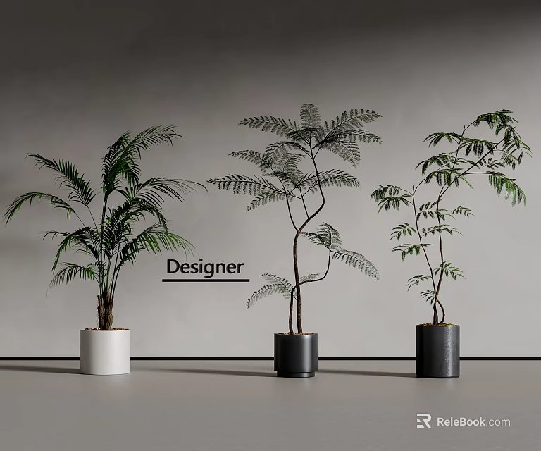 Designer Potted Bonsai Plants With Various Green Foliage In White And Black Pots 3d model 