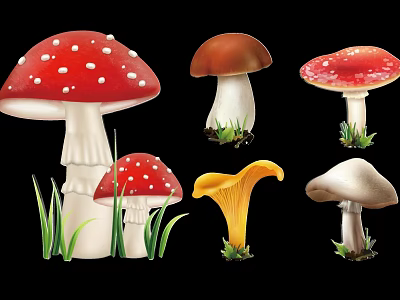 Various Colorful Mushroom Silhouettes Including Red White Spots Brown Yellow And White With Green Grass 3d model