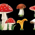 Various Colorful Mushroom Silhouettes Including Red White Spots Brown Yellow And White With Green Grass