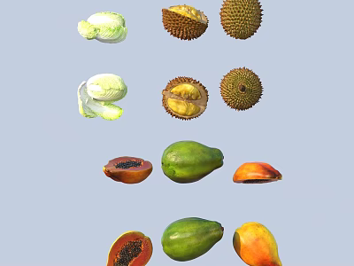 Still Life Display of Fresh Durian and Ripe Papaya Tropical Fruits 3d model