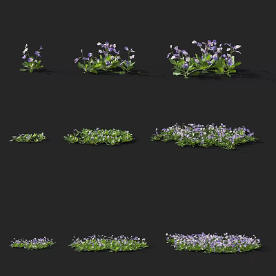 Modern plant stolon Tongquan grass plant 3d model