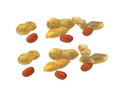 Fresh Peanuts In Shell And Kernels Scattered On White Background 3d model
