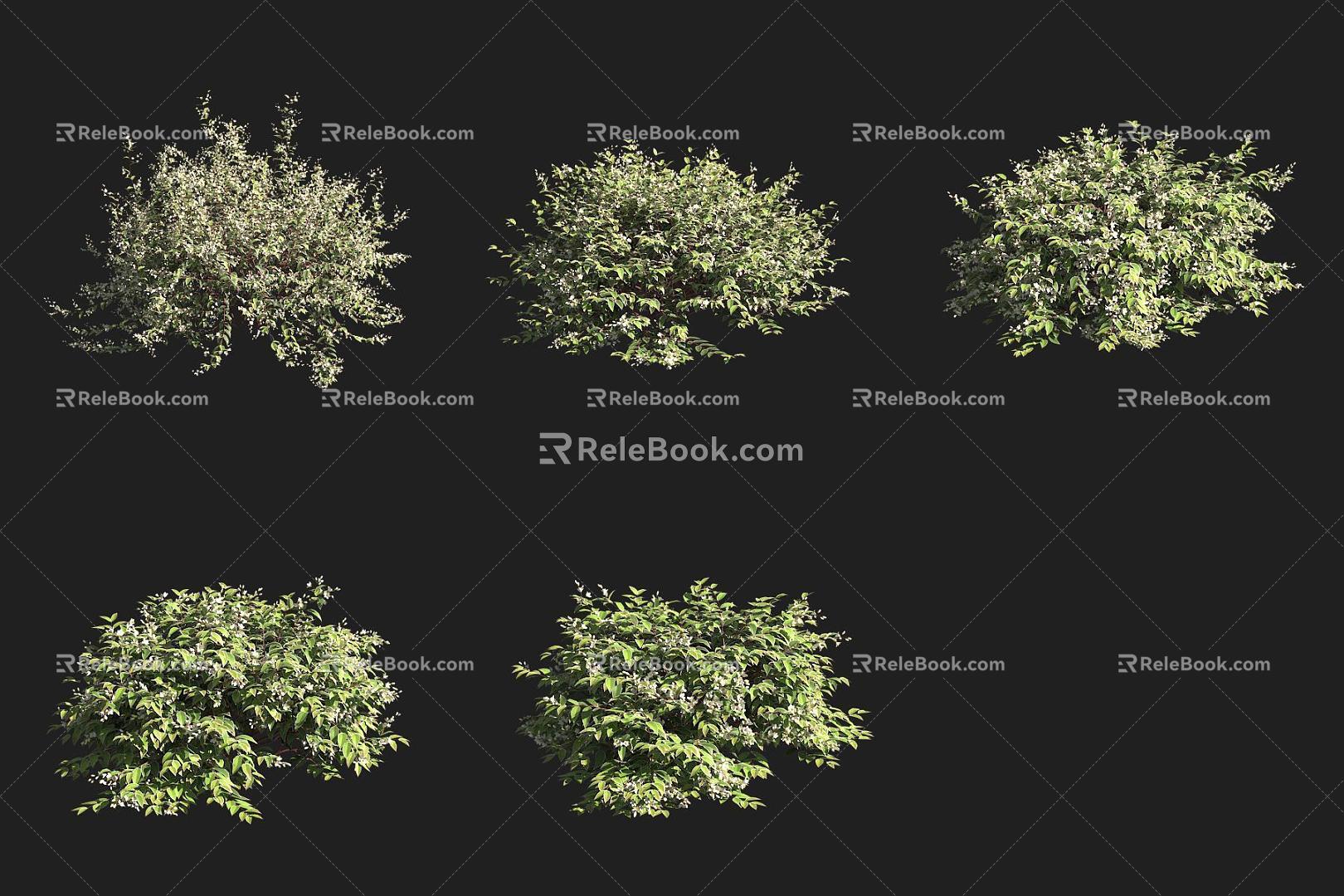 Alishan Shrub 3d model