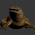 Realistic 3D Rendered Aquatic Crocodile Featuring Brown Skin Lying On Dark Background 3d model