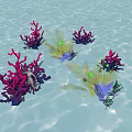 Colorful Aquatic Plants With Red Purple Yellow Foliage In Shallow Water