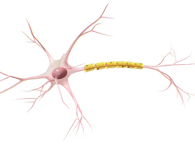 Detailed Game Character Modeled As Neuron With Dendrites Axon And Yellow Myelin Sheath 3d model