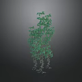 Lush Green Vine With Hanging Leaves And Trailing Foliage For Decorative Use