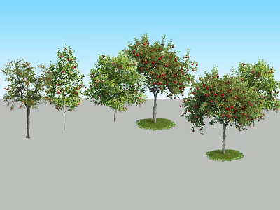 Different Arbor Trees With Green Foliage And Red Fruits Against Blue Sky 3d model