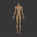 modern human body joint robot joint 3d model