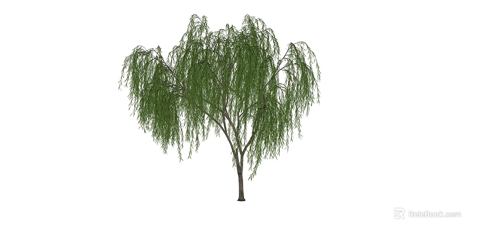 Weeping Willow Tree With Long Drooping Green Leaves Elegant Graceful Appearance In Natural Setting 3d model 
