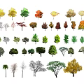 Arbor Varieties For Landscape Design Featuring Various Shapes And Colors 3d model