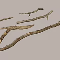 Natural Wooden Branches With Rough Texture And Organic Shapes On Black Background