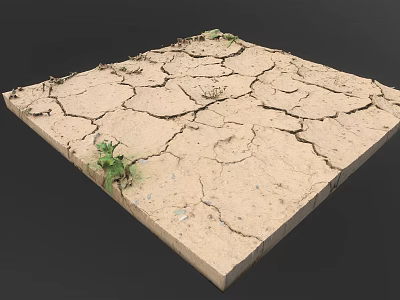 Dry Cracked Earth Surface With Visible Deep Cracks And Small Green Plants 3d model